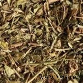 诺源药材行败酱草  菥蓂 苏败酱  遏蓝菜  败将草图3