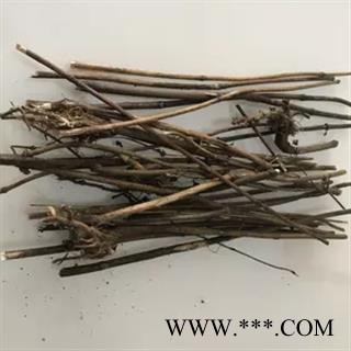 诺源中药材正品林芝藏药 藏茵陈图1