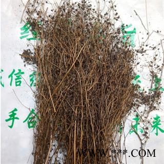 诺源药材行中药材云南正品茅膏菜 石龙芽 野高粱 地下明珠草图2