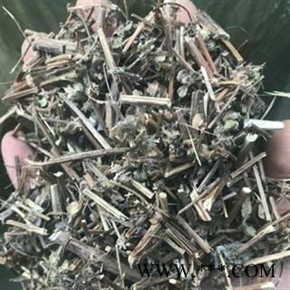 诺源药材行中药材罗勒 九层塔 罗勒草 罗勒叶图2