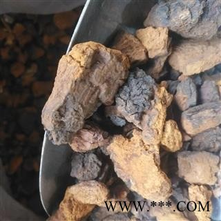 安祁名药优质白桦茸 茶用级别图3