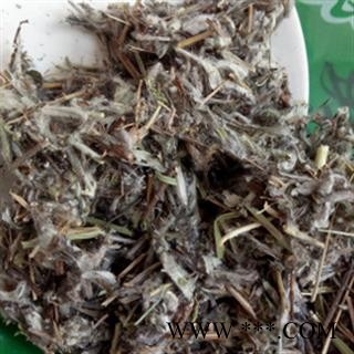 诺源药材行中药材正品冷背中药材老头草 薄雪草 火绒草 白艾图2