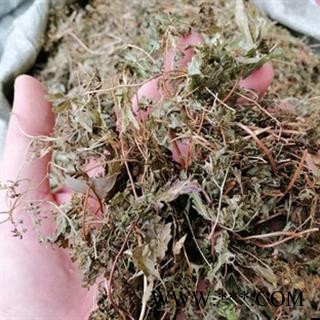 诺源药材行中药材金沙藤  海金沙藤图1