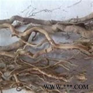 诺源药材行中药材通城虎 血篓图3