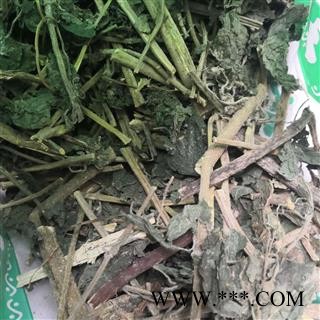 诺源药材行中药材红活麻   荨麻  蜇人草 蝎子草图2