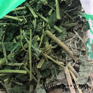 诺源药材行中药材红活麻   荨麻  蜇人草 蝎子草图3