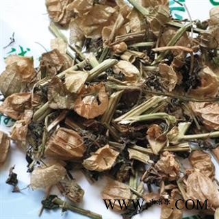 新辉药业中药材灯笼草 灯笼果 地灯笼图2