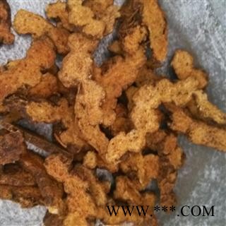 苍术 炒苍术 产地 辽宁省图2