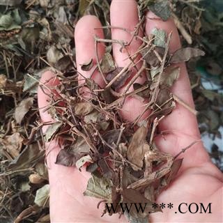 新辉药业藏药绣花针  虎刺根  伏牛花图2