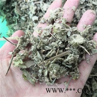 新辉药业中药材寻骨风  清骨风 猫耳朵 穿地节  白毛藤 地丁香 兔子耳图3