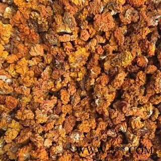 新辉药业药食同源金耳环 金耳图2