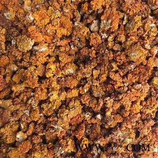 新辉药业药食同源金耳环 金耳图3