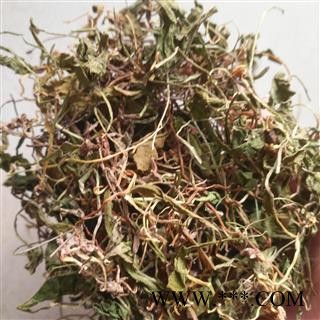 新辉药业贵州一支箭  青藤 蛇咬子图2