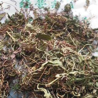 新辉药业贵州一支箭  青藤 蛇咬子图4