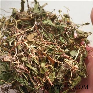 新辉药业贵州一支箭  青藤 蛇咬子图1