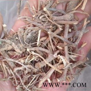 新辉药业含羞草 含羞草根 地上地下两个规格图2