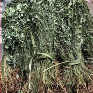 新辉药业中药材岩黄连  土黄连图2