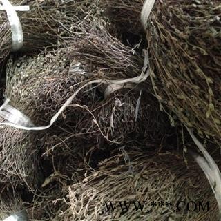 新辉药业正品野生独脚柑  独脚金 新货图3