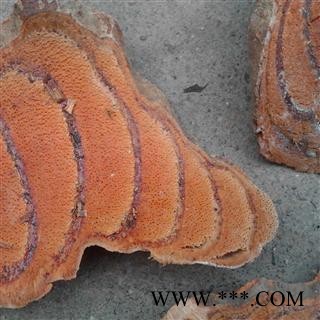 鸡血藤 国产货 产地 云南省图2