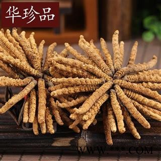 冬虫夏草 冬虫夏草大统 大段 草 产地 西藏自治区图3