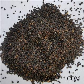 九盛堂 中药材 菥冥子 菥蓂子 菥蓂子图1