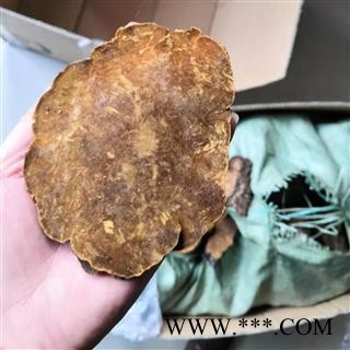 新辉药业正品桑黄 桑树桑黄 西藏桑黄图3