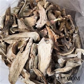 新辉药业云芝 多色牛肝菌 黄牛肝菌图2