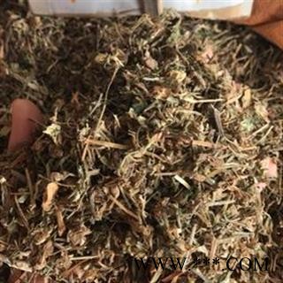 诺源药材行中药材批发鸭趾草 兰花草 竹叶草 鸭跖草 鸭趾草 鸭脚草图2