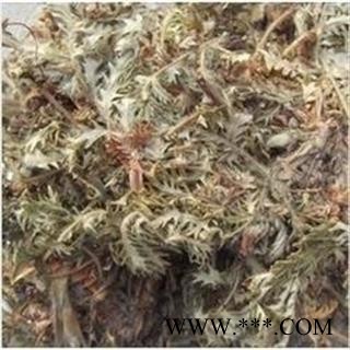 诺源药材行中药材 翻白草 正品优质图3