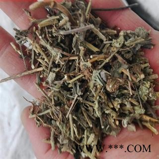 诺源药材行中药材耳挖草 倒提壶草 蓝布裙 金挖耳 中国勿忘我图1