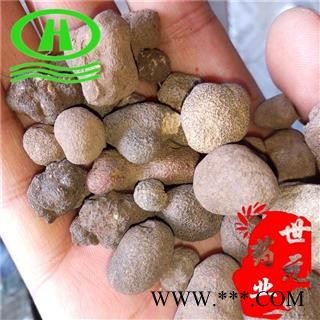 世元药业 雷丸 正品 竹苓 雷实 竹铃芝图1