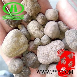 世元药业 雷丸 正品 竹苓 雷实 竹铃芝图2