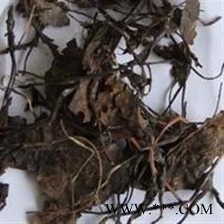 诺源药材行中药材正品鹿含草 鹿衔草 破血单 可供大货图4