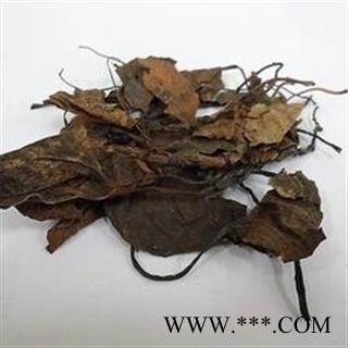 诺源药材行中药材正品鹿含草 鹿衔草 破血单 可供大货图2