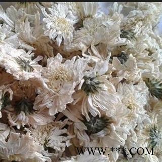 世元药业 贡菊 黄山贡菊 徽州贡菊 徽菊 七月菊 茶饮一级 烘干图2