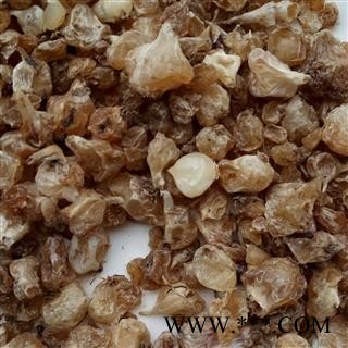 野生薤白 薤白新货选货 产地 河南省平顶山市汝州市图3