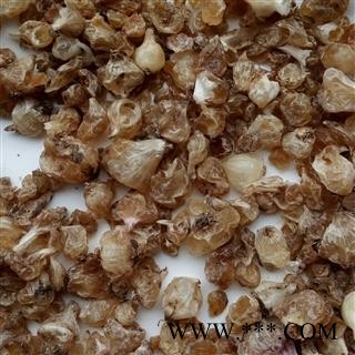 野生薤白 薤白新货选货 产地 河南省平顶山市汝州市图2