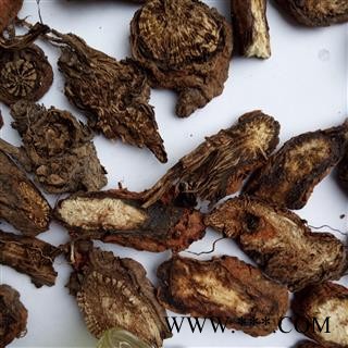 野生丹参 大片 产地 河南省平顶山市汝州市图4