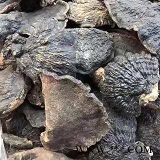 安祁名药正品野生灵芝 薄树芝图2