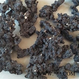 安祁名药优质猪苓  东北野生图2