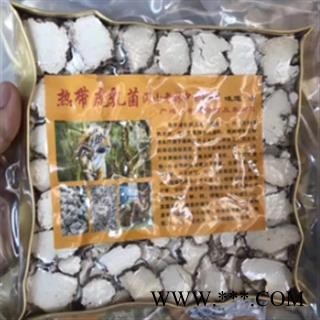 安祁名药正品藏药灵芝 虎乳菌 虎乳灵芝图3