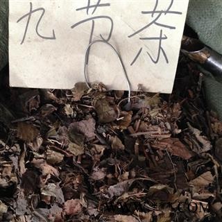 诺源药材行中药材肿节风 观音茶 接骨木 九节风图2
