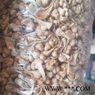 安祁名药正品纯孢子头金虫草 大孢子头图2