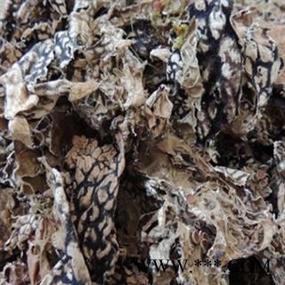 安祁名药优质老龙皮 网肺衣图2