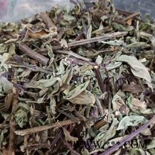 诺源药材行中药材肾茶 养生茶 猫须草    量大从优图2