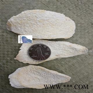 山药  精品淮山药 无硫磺（出口级别）低价销售 国峰药业 重在品质 产地 河南省图2