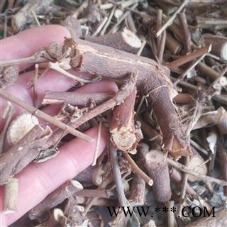 新辉药业地桃花 野棉花图4