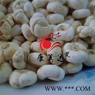 浙贝母 大选货 产地 浙江省图3