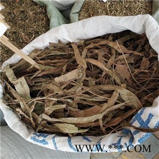 九盛堂中药材七星剑七星草小叶骨牌草中草药 丹瓦剑草图2