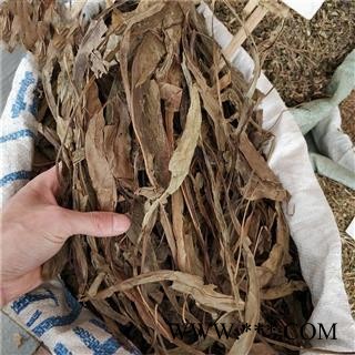 九盛堂中药材七星剑七星草小叶骨牌草中草药 丹瓦剑草图1